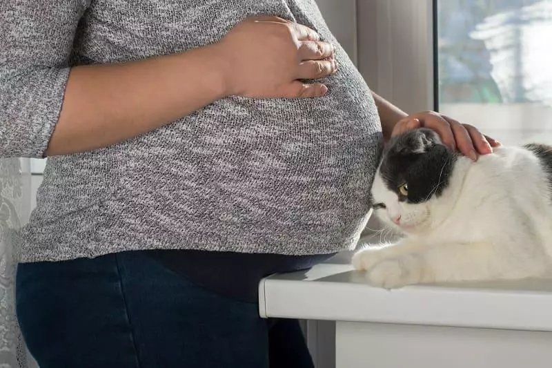 kobieta w ciąży głaszcząca kota